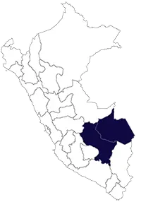 CPsP Consejo Directivo Regional VIII Cusco y Madre de Dios